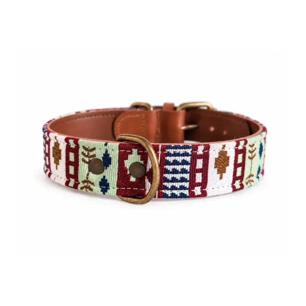 Collar Sage DANNTE para perro